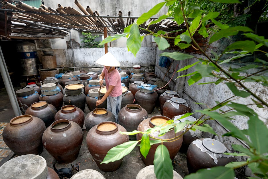 Fermente Gıdalar Sindirim Sağlığı İçin Haftalık Planı