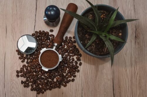 İlaç Besin Etkileşimini Evde Takip Edin: Basit Günlük Kontrol Listesi