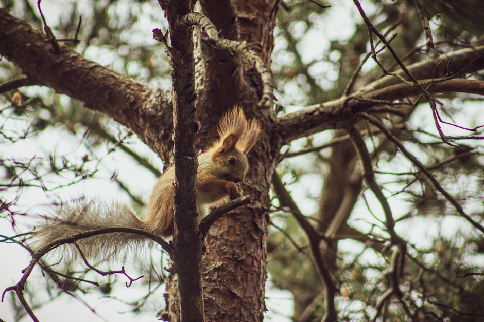 Uyku Apnesi Yaşam Tarzı: Evde Semptom Azaltma Yöntemleri