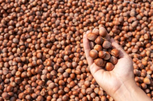 Adet Dönemi Demir Dengesi İçin Beslenme Rehberi