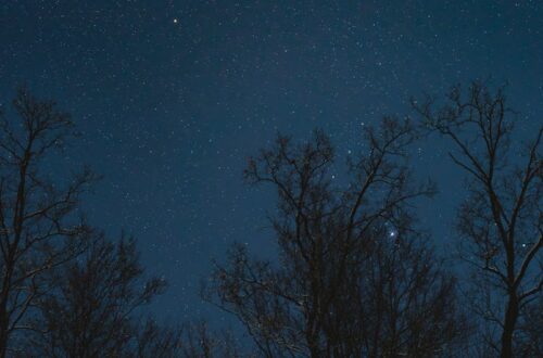 Uyku Ritüeli Evde: 7 Adımlık Gece Planı ile Kaliteyi Artır