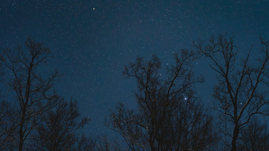 Uyku Ritüeli Evde: 7 Adımlık Gece Planı ile Kaliteyi Artır